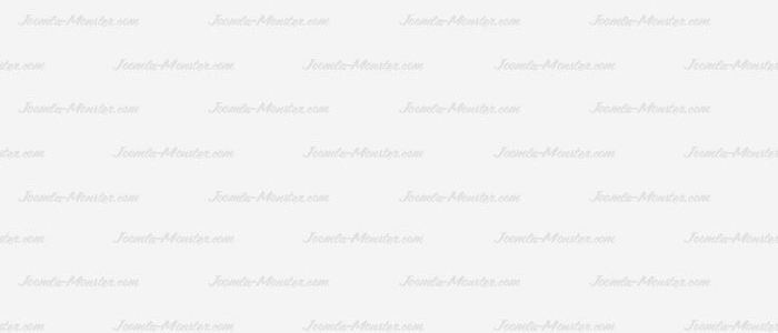 Proin lacinia